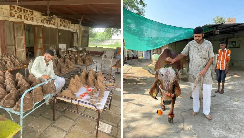 dr. rahul dhariya makind products from cow dung 