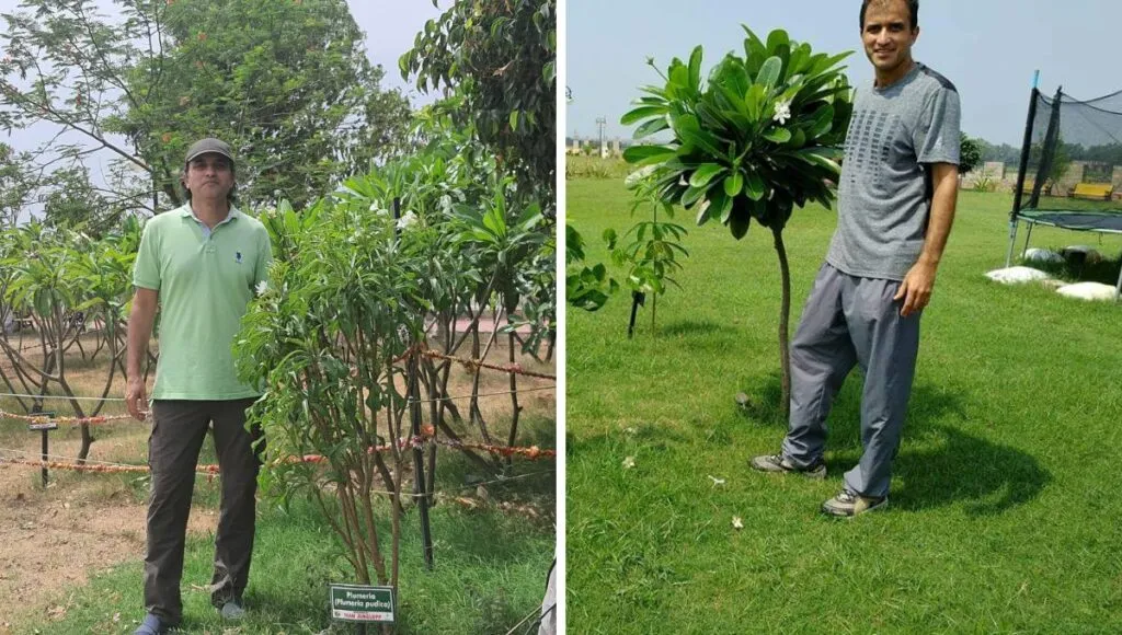During plantation 