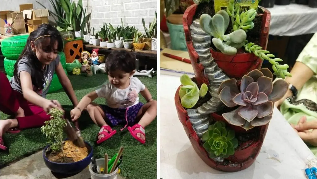 kinds doing planting 