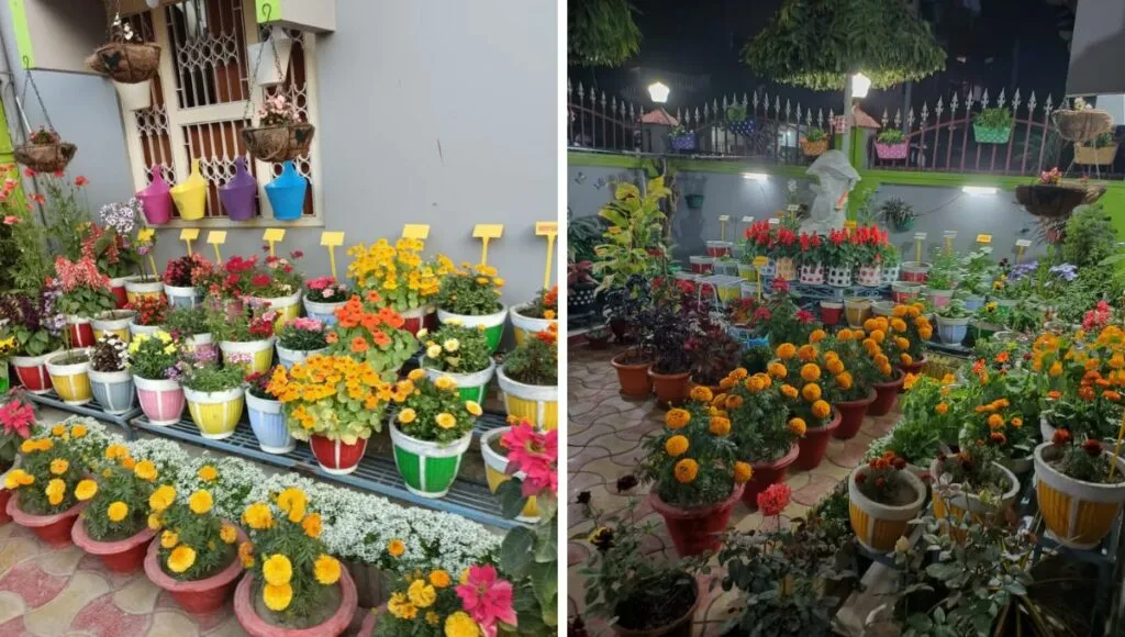 Beautiful Flower garden In Bihar 
