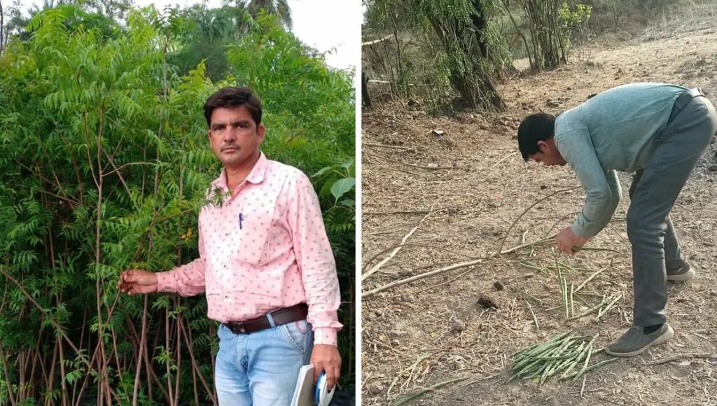 tree plantation and rare seed collection  by kedar saini 