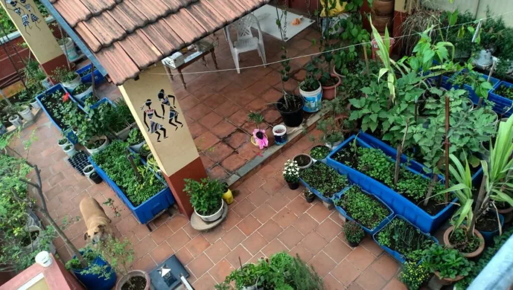 Terrace garden at Bengaluru 