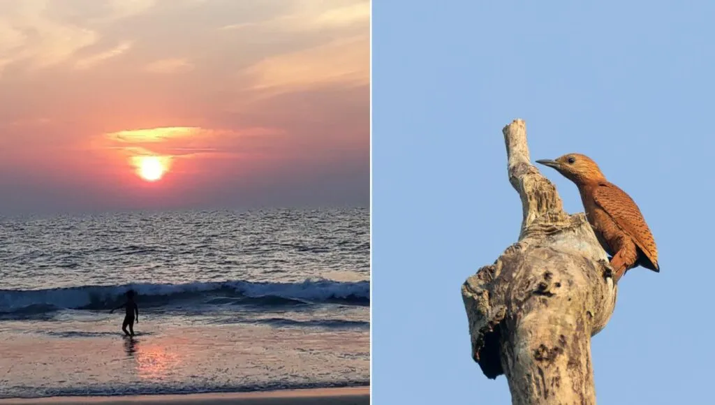 One & Only Beach of Uttar Pradesh, Chuka in Pilibhit 