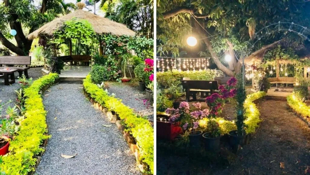 Gardening 