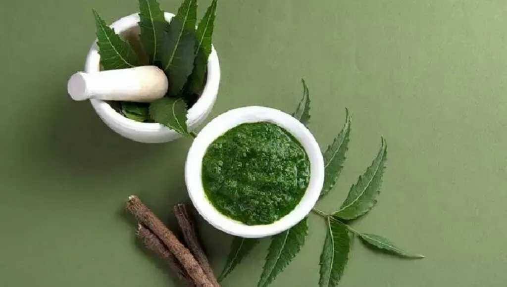 Neem hair pack for monsoon 