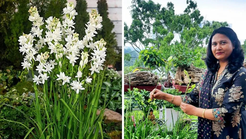 Rinki singh with Rajanigandha Plant  