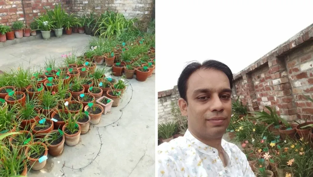 prasahnt and his lily garden 