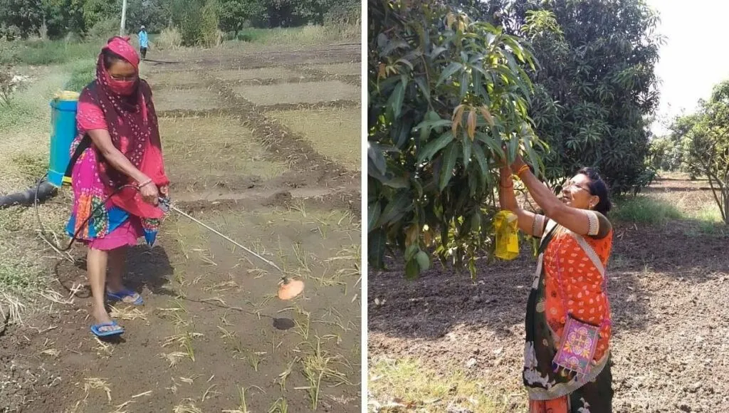 Lakshmi patel 60 years old lady farmer 