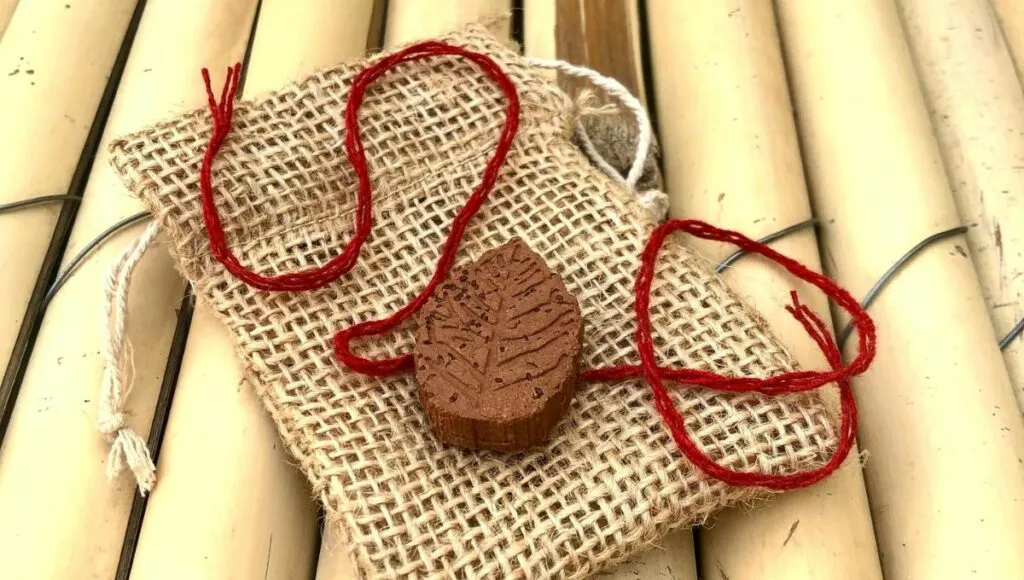 handmade seed rakhi 