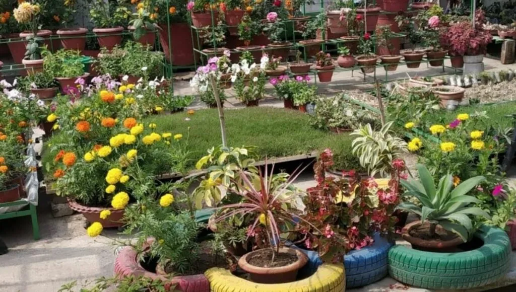 teerace garden in patna 