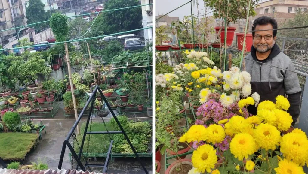 Home garden 