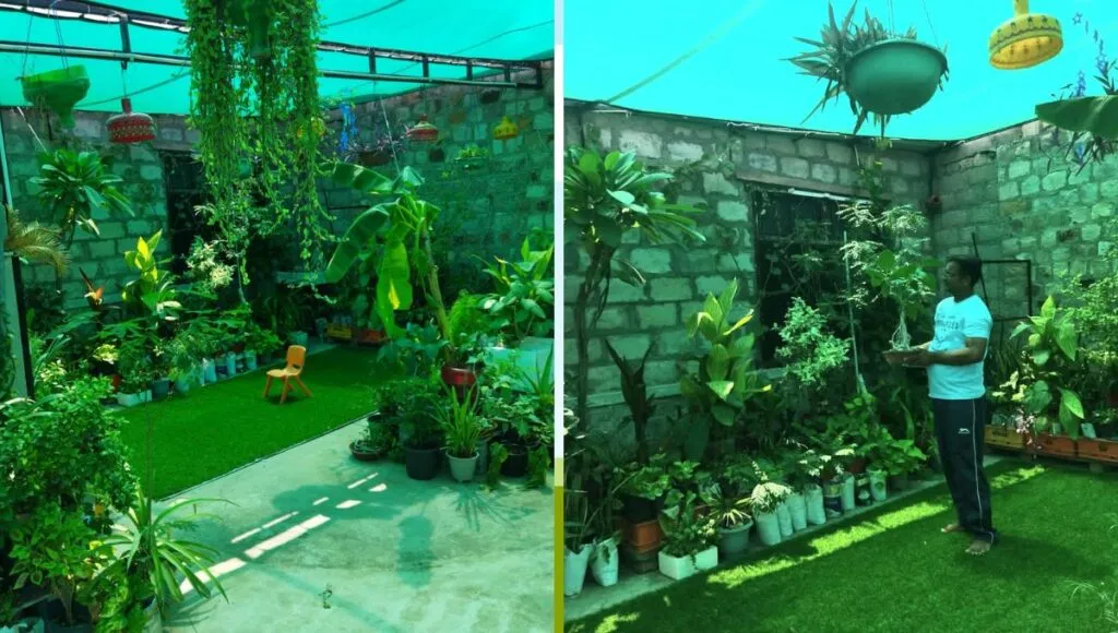 Anand's  terrace garden 