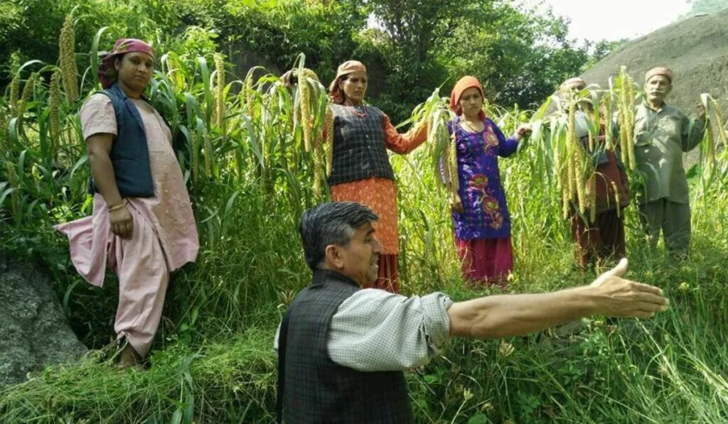 Nekram spreading awareness among farmers