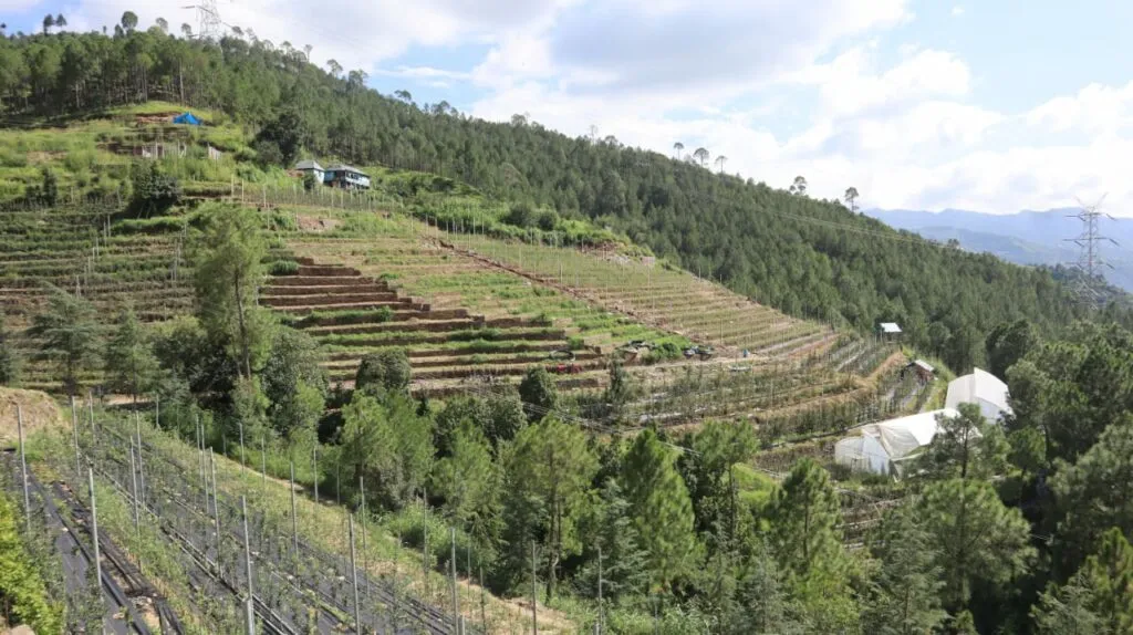 Vikram's Farm