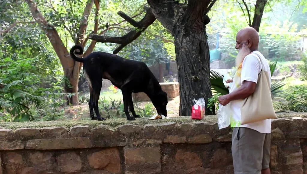 Jawahar feeding dog in the park