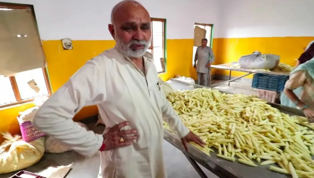 Kanwal Singh Chauhan, a farmer cultivating baby corn<br />
