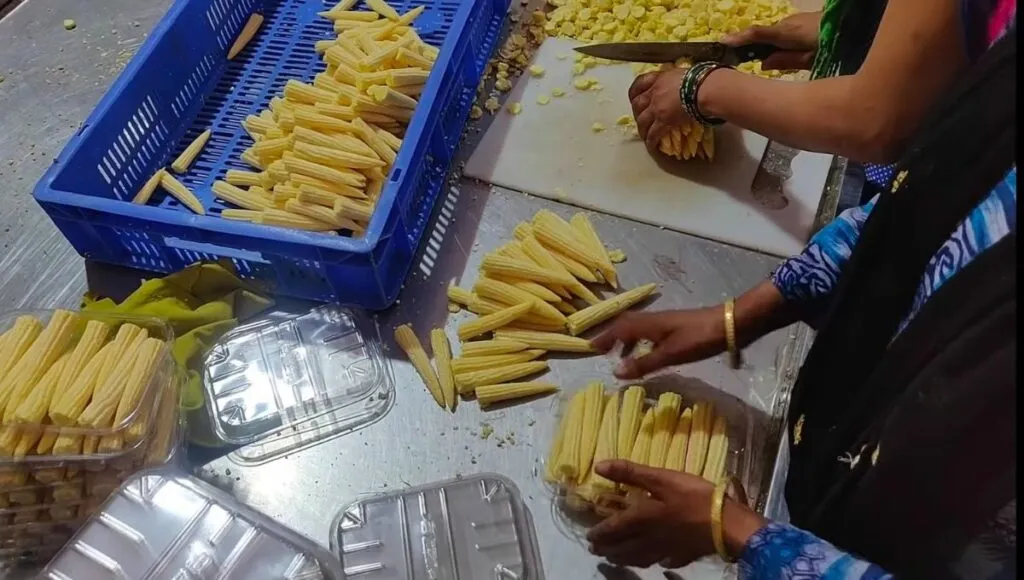 Many food items are made from baby corn.<br />
