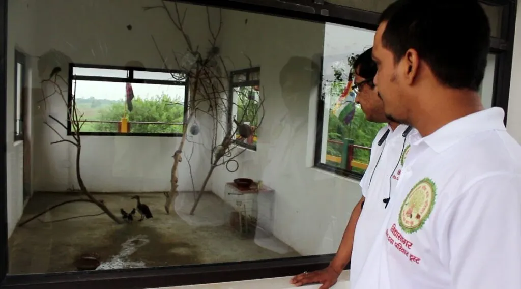Bird Care Center