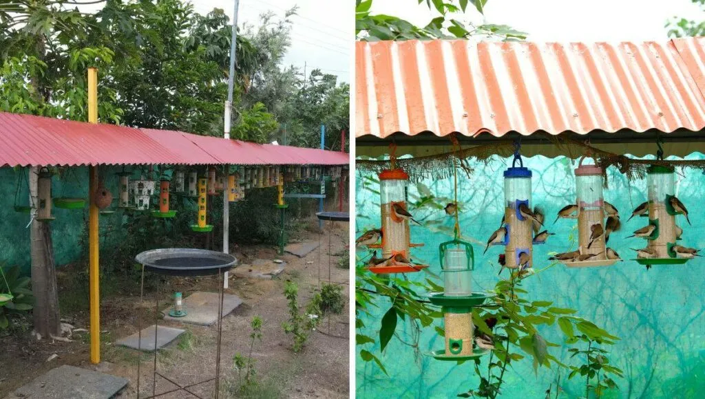 Bird Feeder Made By Haresh