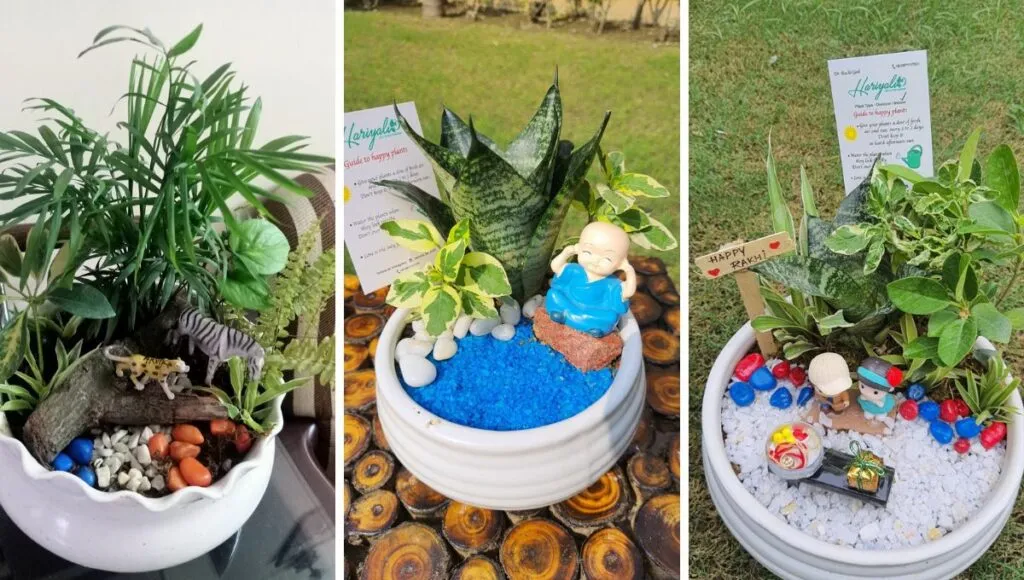 Trey Garden Made By Ruchi