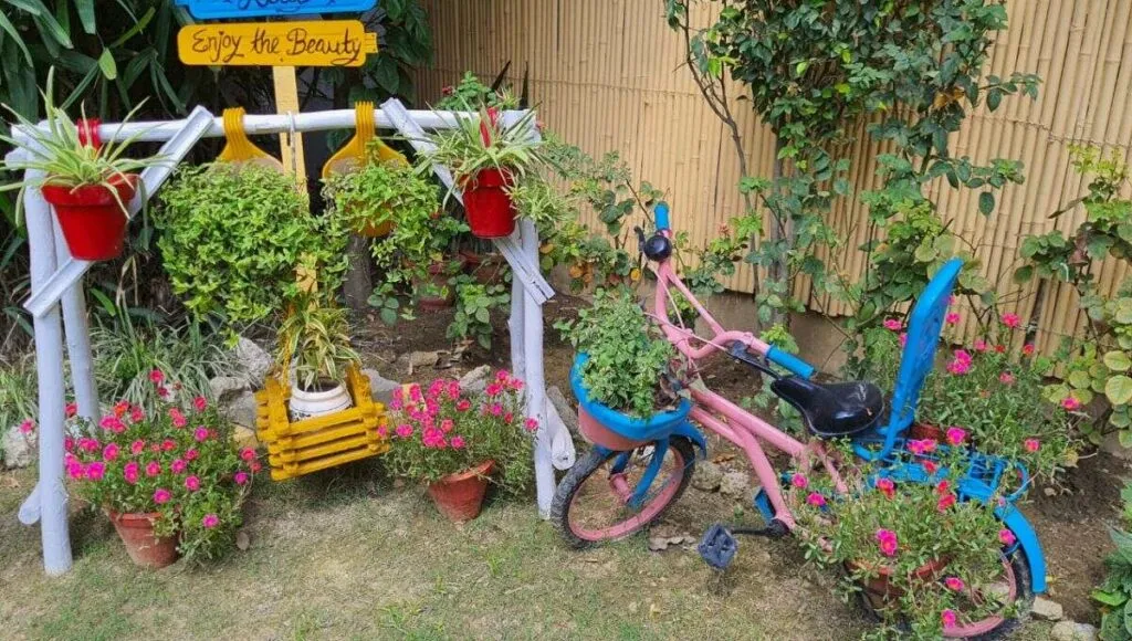 Garden Decorated By Waste Item