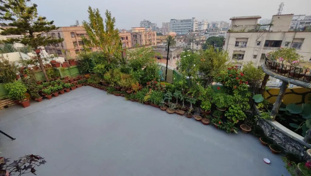 patna terrace garden in  