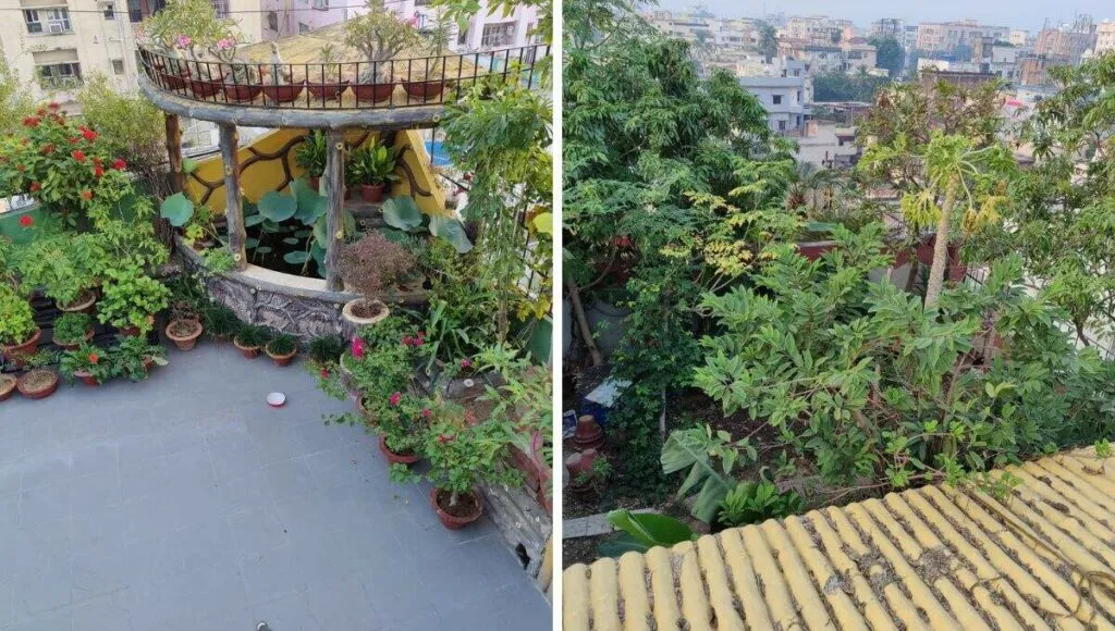 terrace garden 