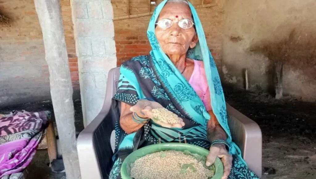 Crop from Koila Devi's farm