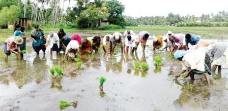 Farmers working on farm 