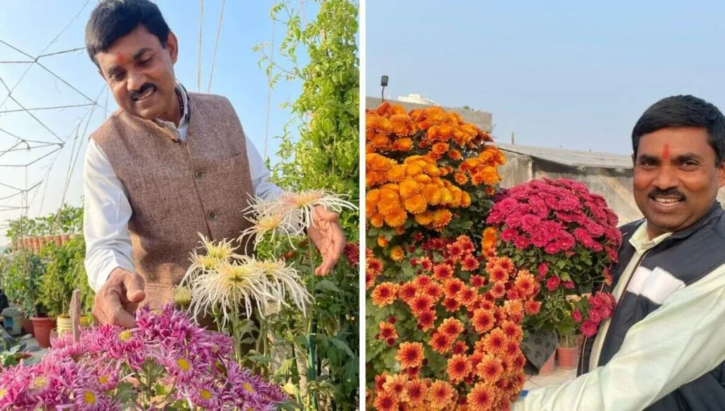Exotic flowers at garden 