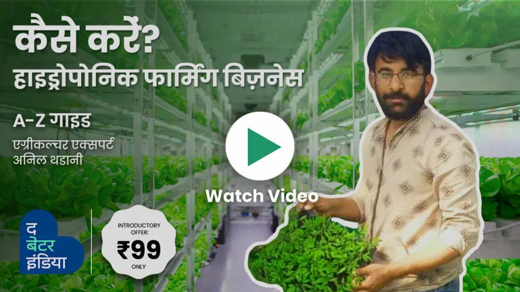hydroponic farming business 