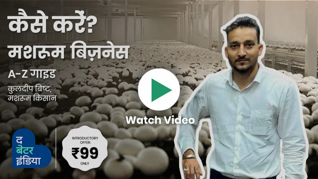 how to do mushroom business 