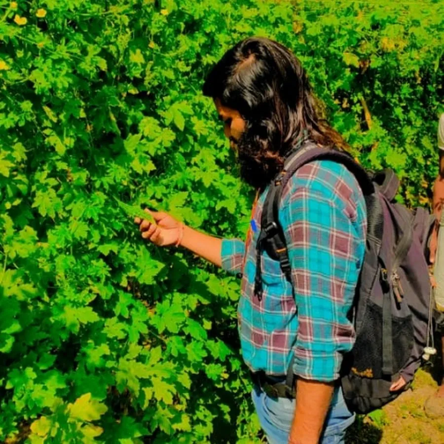 Dhanraj Lovavanshi in his farm