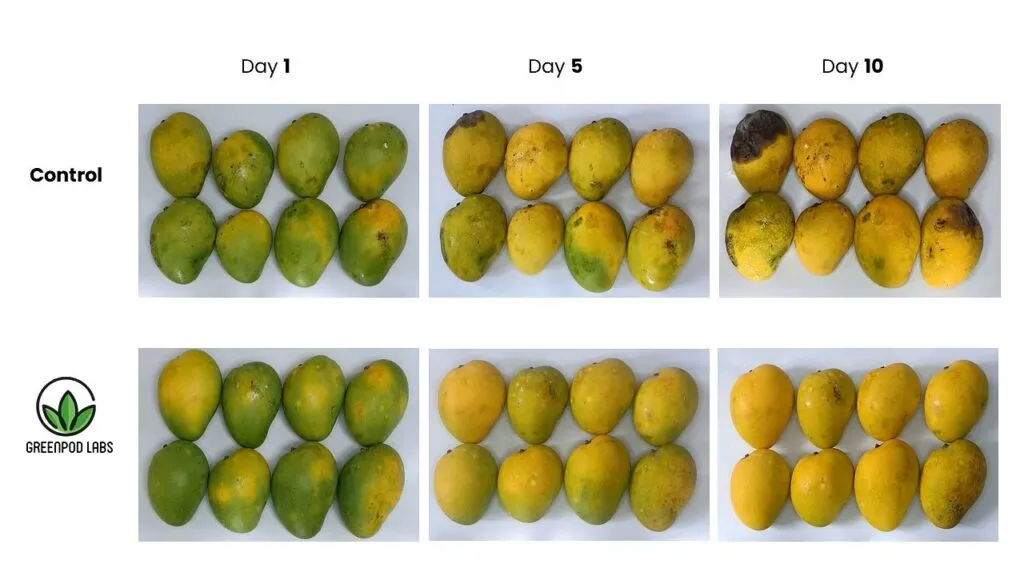 Greenpod innovation 
