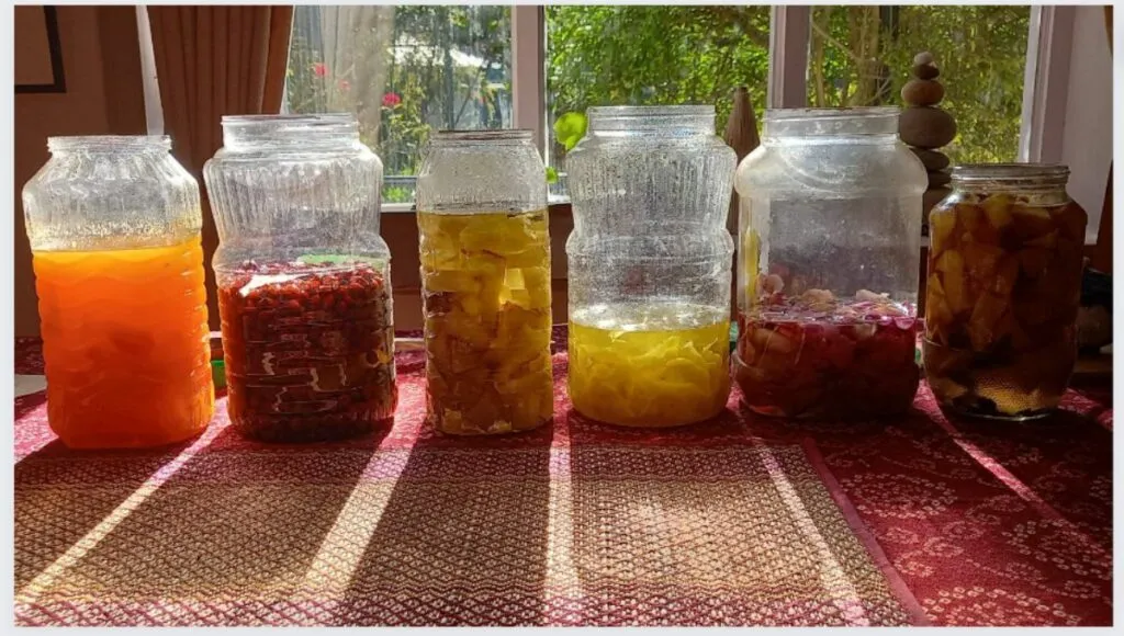 Organic Produce from Farm Stay.