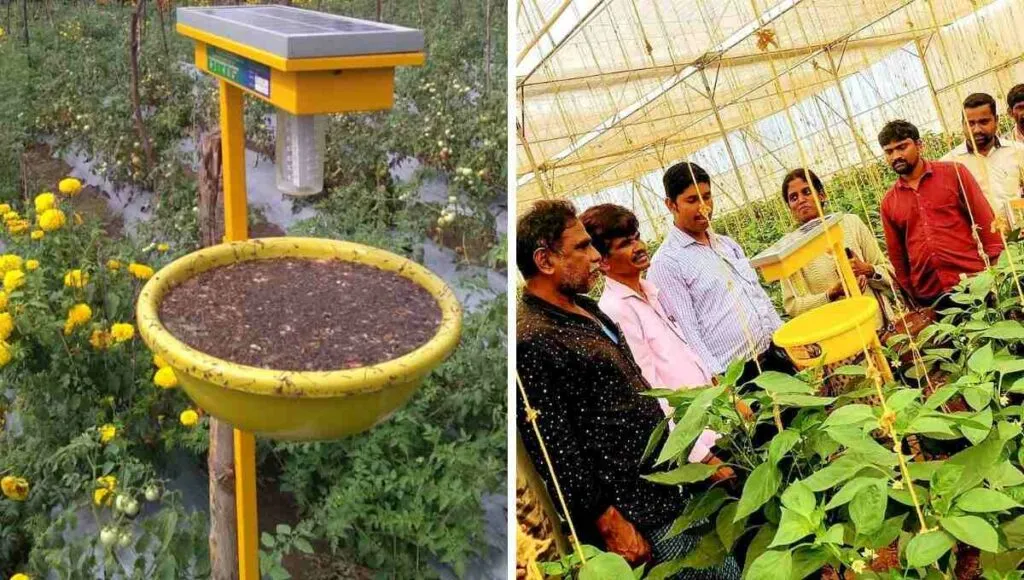 solar insect trap