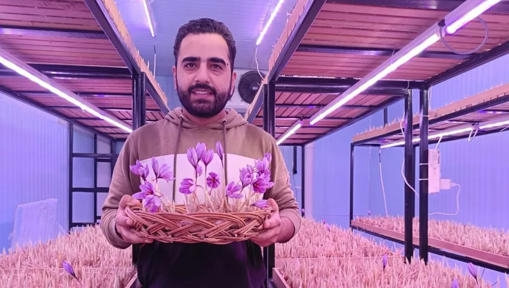 Kesar Farming 