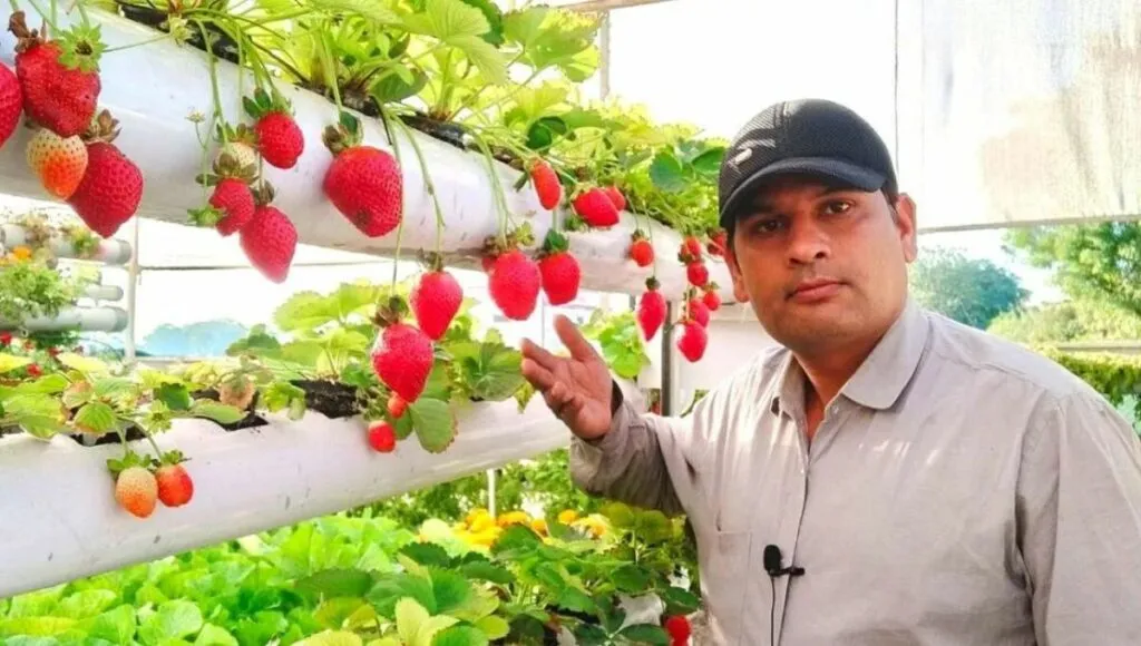 Arvind Dhakad 