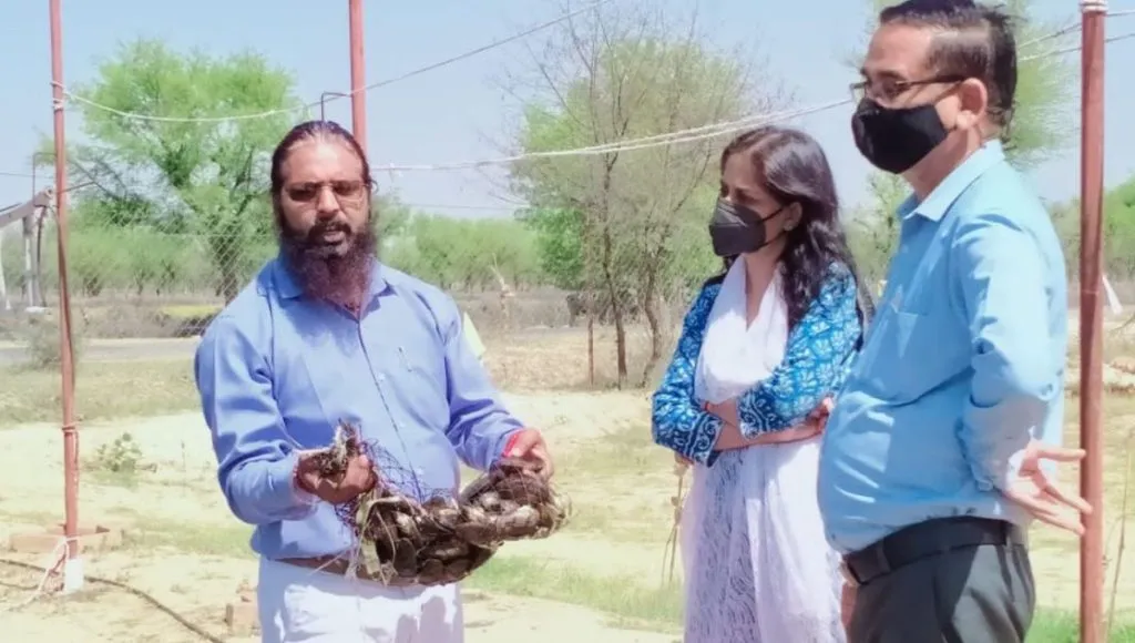 Vinod Bharti Rajasthan pearl farmer 