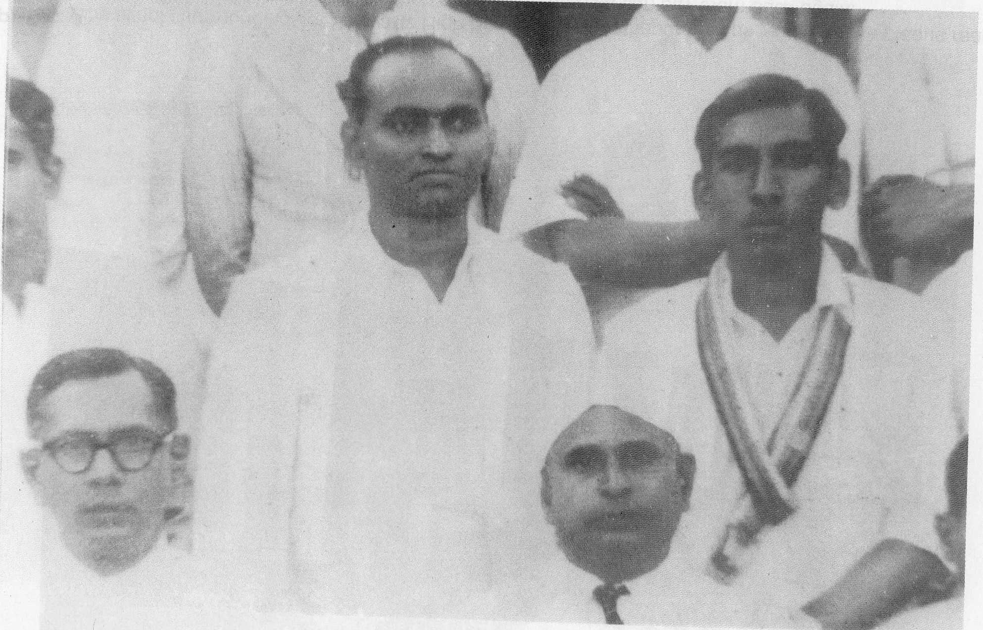 श्वार्ट्ज teachers