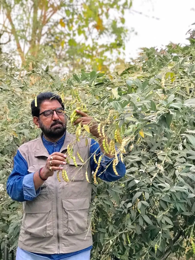 डॉ. राजाराम त्रिपाठी