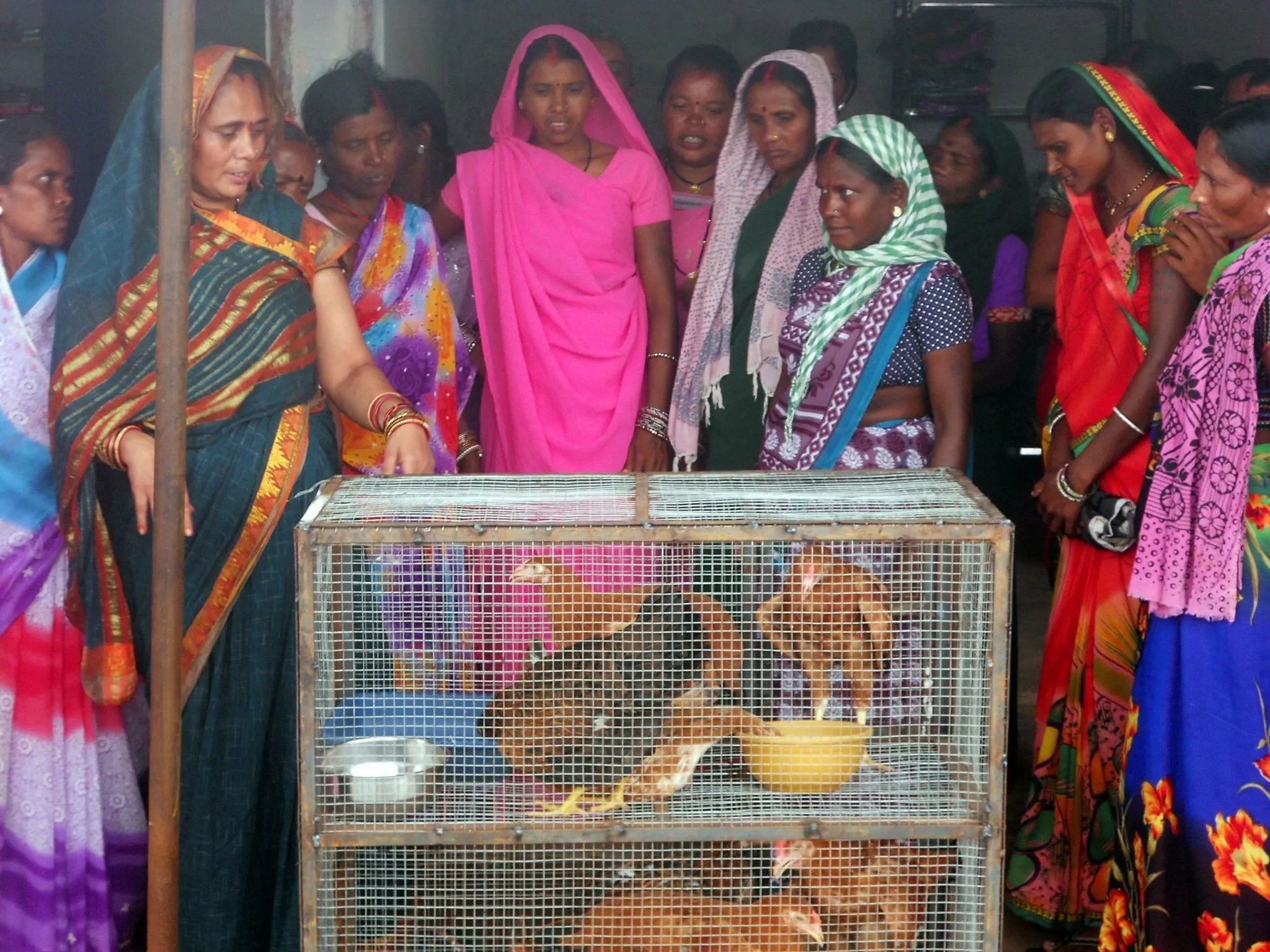 Fulsan Bai Yadav 
