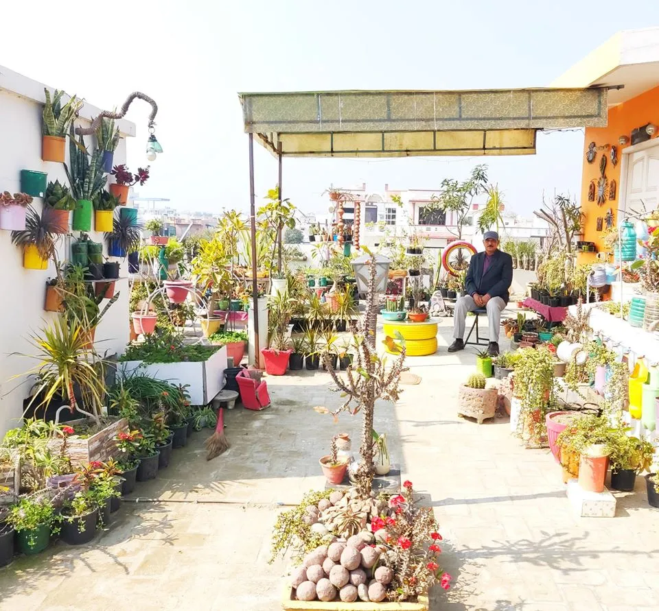 How to start your garden