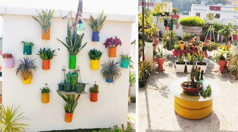 Gardening