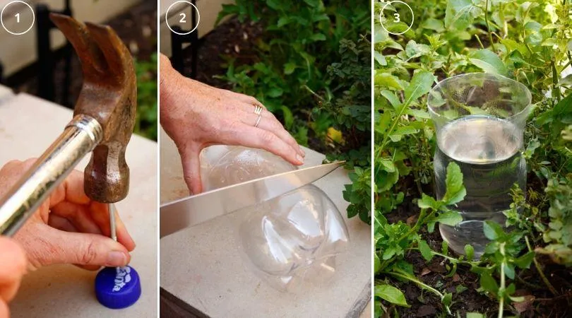 Watering Plants