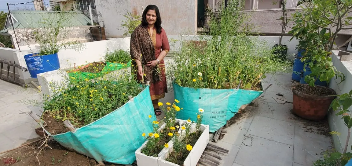 How to grow vegetables