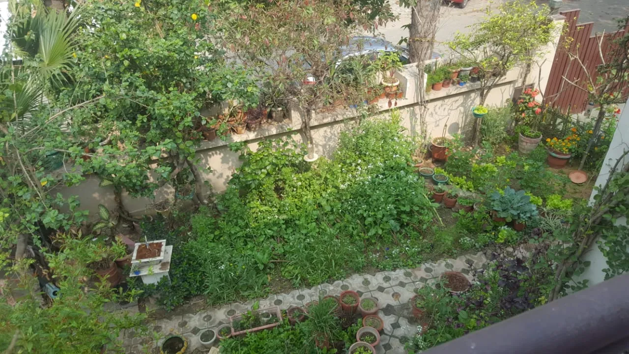 Gardening Tips