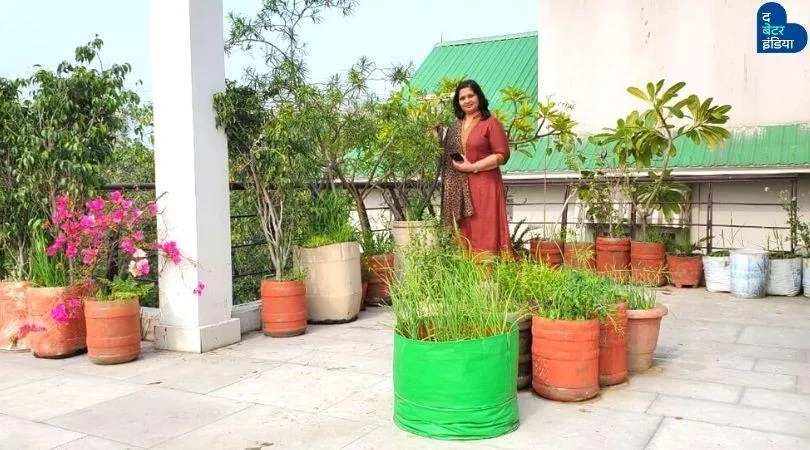 How to grow vegetables at home