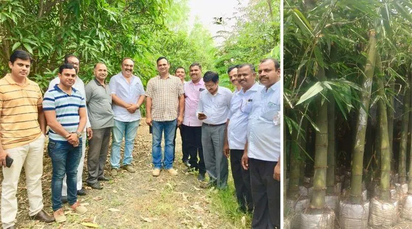 Maharashtra Bamboo Farmer