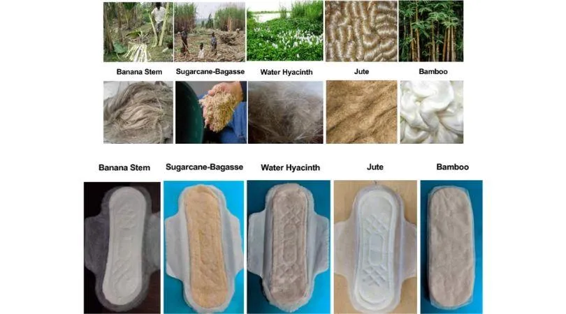 Compostable Sanitary Napkin